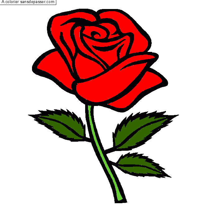 Dessin Colorié : Rose Rouge Par Un Invité - Sans Dépasser serapportantà Dessin De Fleur En Couleur A Imprimer
