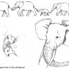 Dessin De Elephant (6) pour Dessin Elephant Rigolo