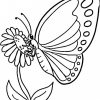 Dessin De Papillon Sur Une Fleur En Couleur - Choix De Couleur avec Coloriage De Papillon Sur Une Fleur