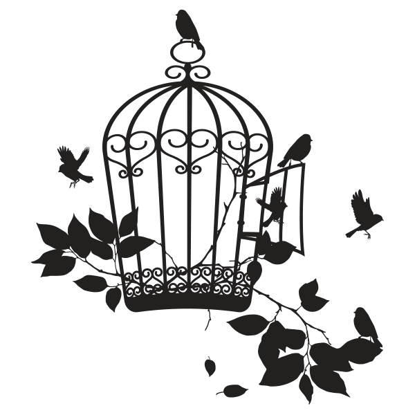 Du Bon Usage De Vos Relations Toxiques… - Séraphine Boit tout Dessin De Cage D Oiseau