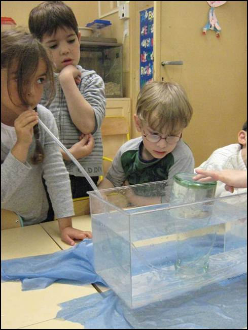 Ecole Maternelle Publique Saint-Pierre Lamothe Vendôme dedans Expérience Maternelle