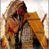 Épinglé Par Deriviere Sur Les Indiens Du Monde | Images destiné Amérindien Histoire