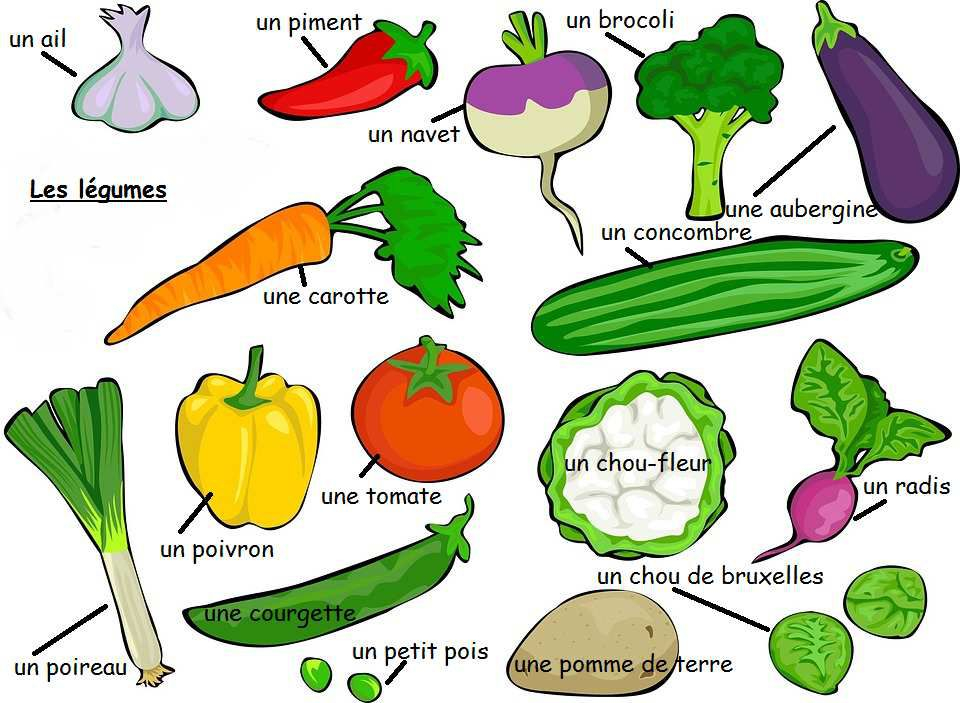 Evo Magz V4.7 avec Fruits Et Légumes En Anglais