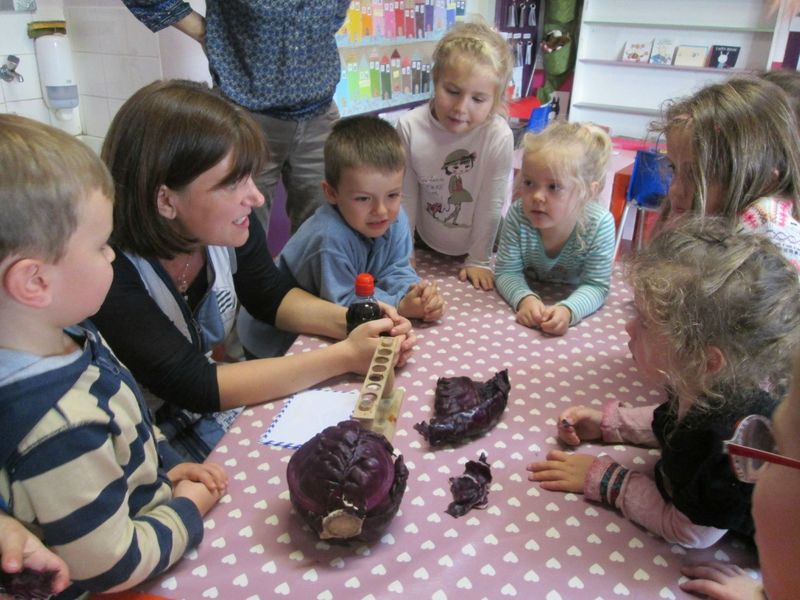 Expériences Avec Le Chou Rouge - La Maternelle De Vivi avec Expérience Maternelle