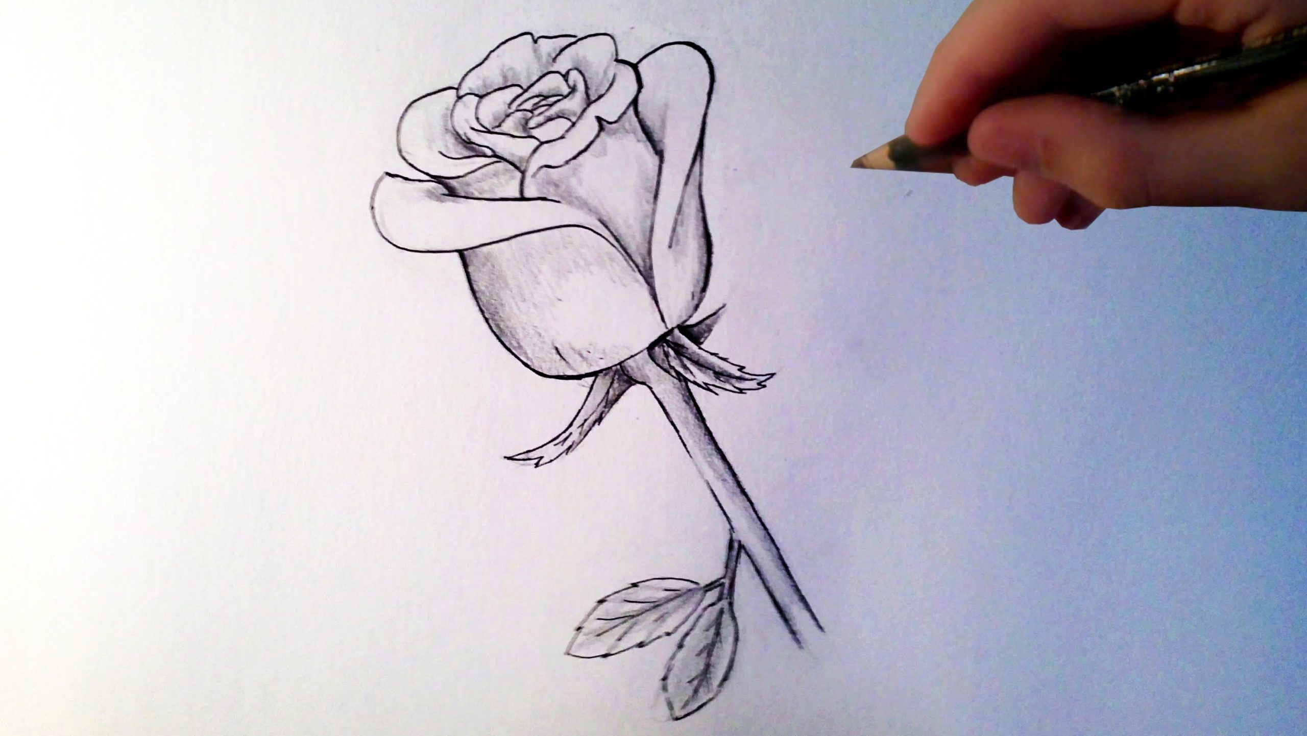 👍 Comment Dessiner Une Rose encequiconcerne Site Pour Dessiner