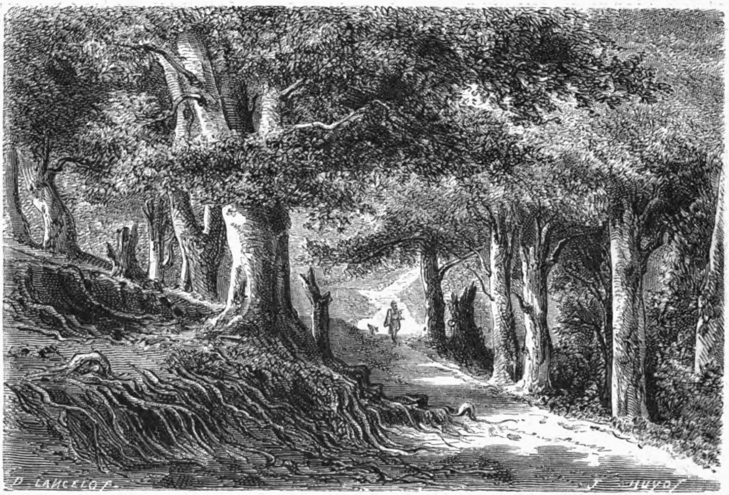 File:lancelot - Forêt À Baia-De-Fier - Wikimedia Commons dedans Dessin De Foret