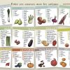 Francés Y Mucho Más: Vocabulaire Des Fruits Et Légumes De encequiconcerne Lexique Fruits Et Légumes