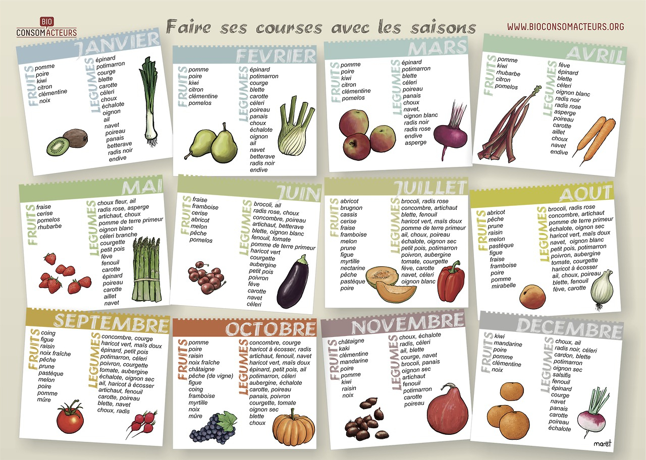 Francés Y Mucho Más: Vocabulaire Des Fruits Et Légumes De encequiconcerne Lexique Fruits Et Légumes