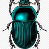 Free Download How To Draw A Scarab Beetle - Hd Wallpaper pour Dessin Scarabée