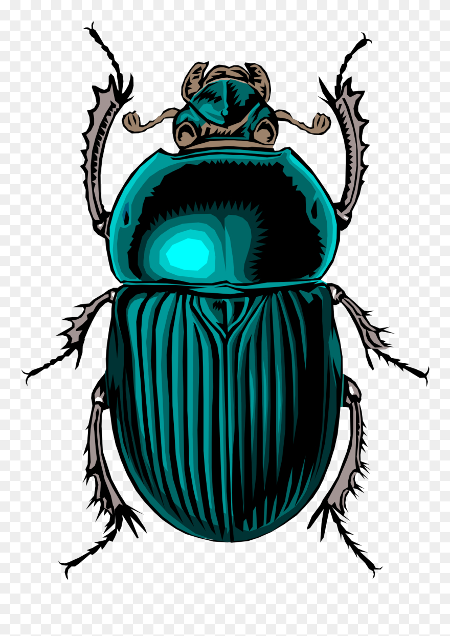 Free Download How To Draw A Scarab Beetle - Hd Wallpaper pour Dessin Scarabée