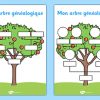 French Family Tree - Primary Resources (Teacher Made) dedans Arbre De Famille Dessin