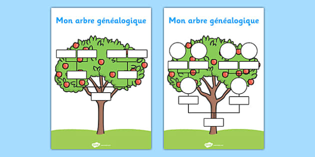 French Family Tree - Primary Resources (Teacher Made) dedans Arbre De Famille Dessin