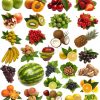 Fruit Pour Tous Les Goûts Image Stock. Image Du Sain serapportantà Tous Les Noms De Fruits