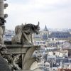 Gargouilles De Notre Dame - Mes Photos | Gargouille, Dame à Gargouille Notre Dame De Paris Disney