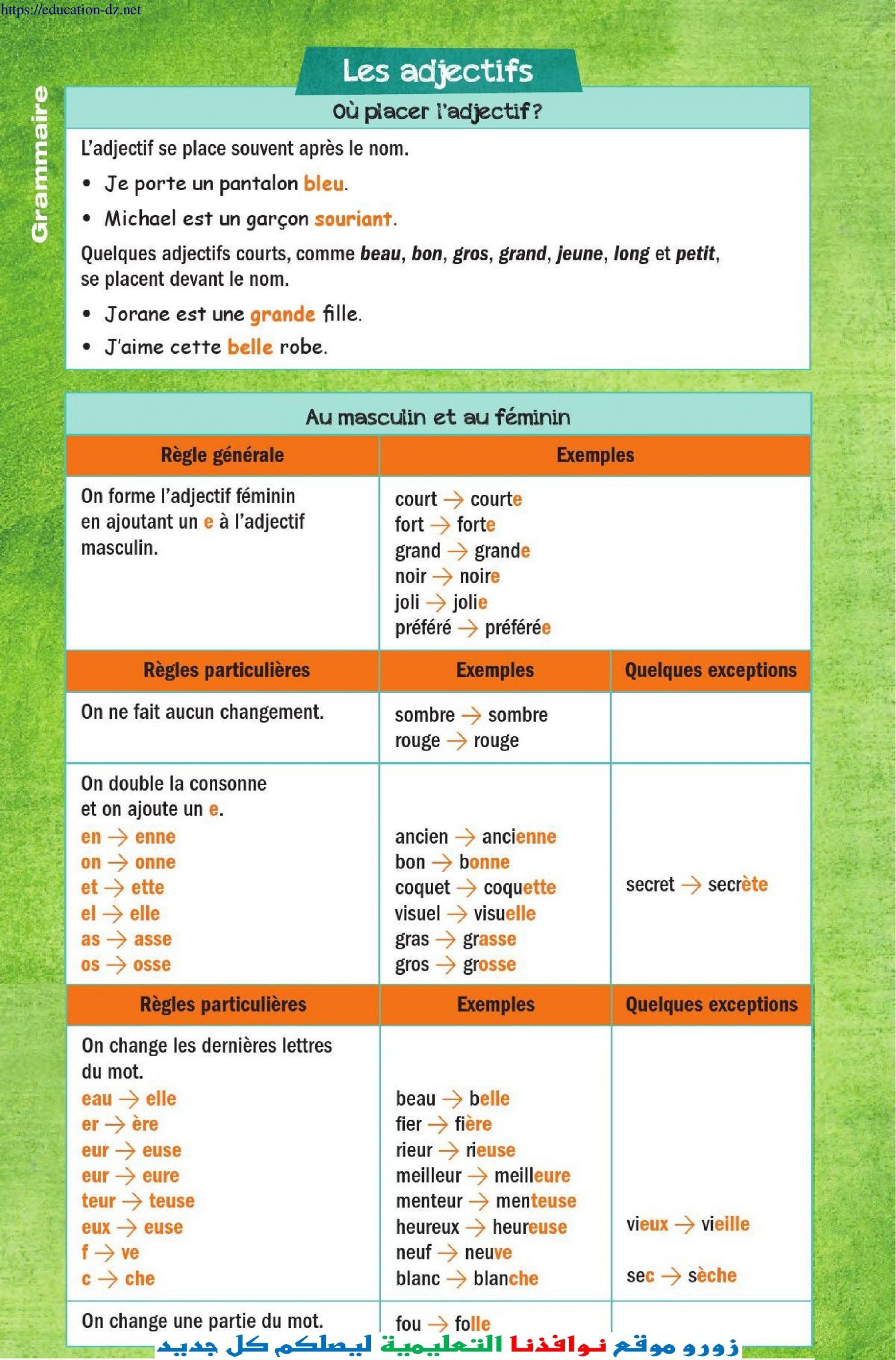 Grammaire - Les Adjectifs Au Masculin Et Au Féminin 3As intérieur Le Masculin Et Le Féminin Des Adjectifs