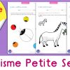 Graphisme Petite Section À Imprimer | Pdf Fiche Maternelle destiné Jeux En Ligne Maternelle Petite Section