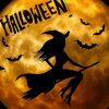 Halloween La Sorcière Bizarre · Image Gratuite Sur Pixabay encequiconcerne Image De Sorcière Gratuite