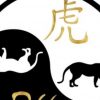 Horoscope Tigre - Horoscope Chinois 2021 - Manon Medium avec Tigre En Chinois