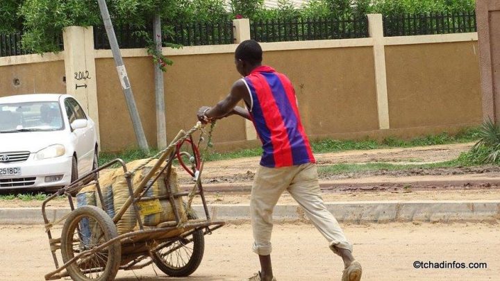 Human Of N'Djamena : Ngartoloum, Conducteur De Pousse serapportantà Le Génie Du Pousse Pousse