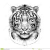Idées Fantastiques Tete De Tigre Dessin Noir Et Blanc concernant Image Tete De Tigre