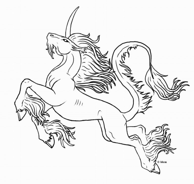 Coloriage Licorne Volante  Arouisse.com
