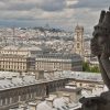 Incendie De Notre-Dame : « La Gargouille Légendaire Du dedans Gargouille Notre Dame De Paris Disney