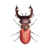 Insecte - Mordicus - Agent Paper concernant Dessin Scarabée