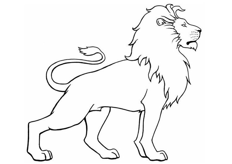Inspiration Lion Dessin Facile Animaux Sauvage - Angie dedans Lion Facile A Dessiner