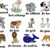 Jeu Sur Les Animaux-Néerlandais à Apprendre Le Nom Des Animaux