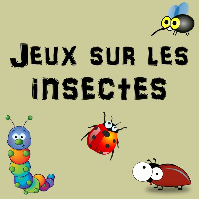 Jeux Sur Les Insectes : Quelques Idées Simples Et pour Les Insectes Maternelle