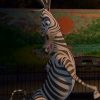 Just Watching The Wheels Go Round: Was The Movie avec Madagascar Zebre
