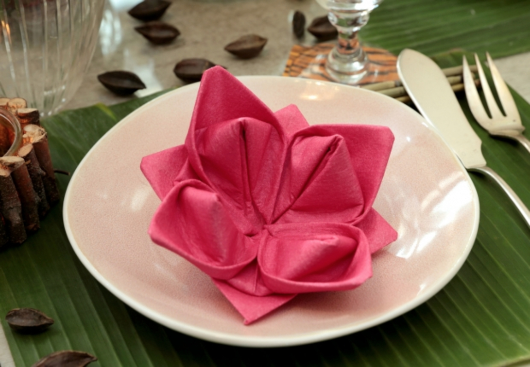 La Fleur De Lotus En Papier | Serviette Papier, Pliage à Fabriquer Des Fleurs Avec Des Serviettes En Papier