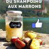 La Recette Incroyable Du Shampoing Aux Marrons (Facile À intérieur Comment Fait On Du Marron