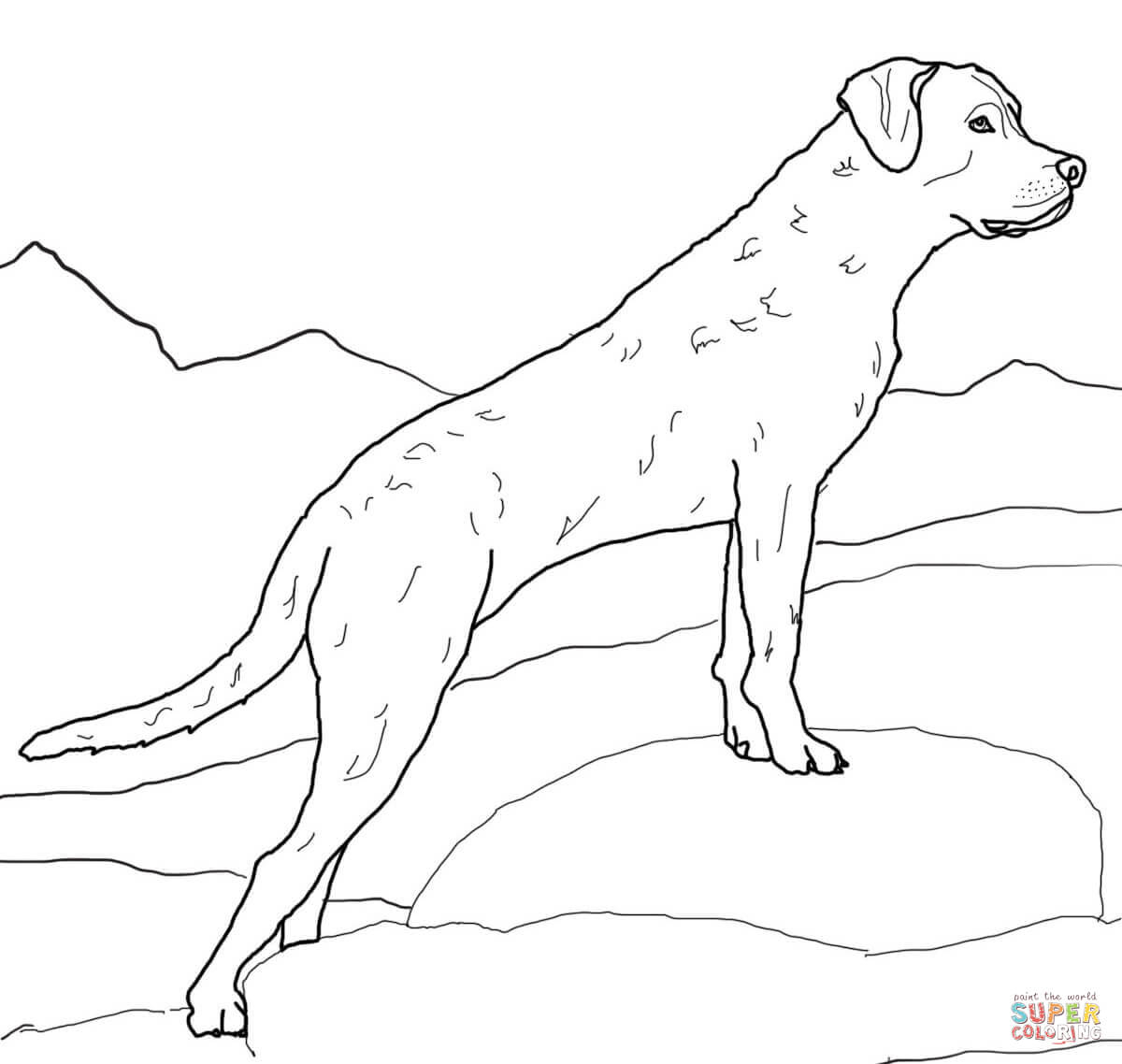 Labrador Retriever Drawing At Getdrawings | Free Download destiné Coloriage Labrador