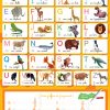 L'Alphabet - Poster-Ardoise En 2020 | Apprendre L'Alphabet destiné Apprendre Les Départements En S Amusant