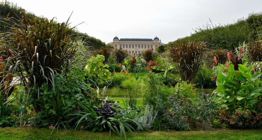 Le Jardin Des Plantes Et Son Histoire avec Histoire De Jardin
