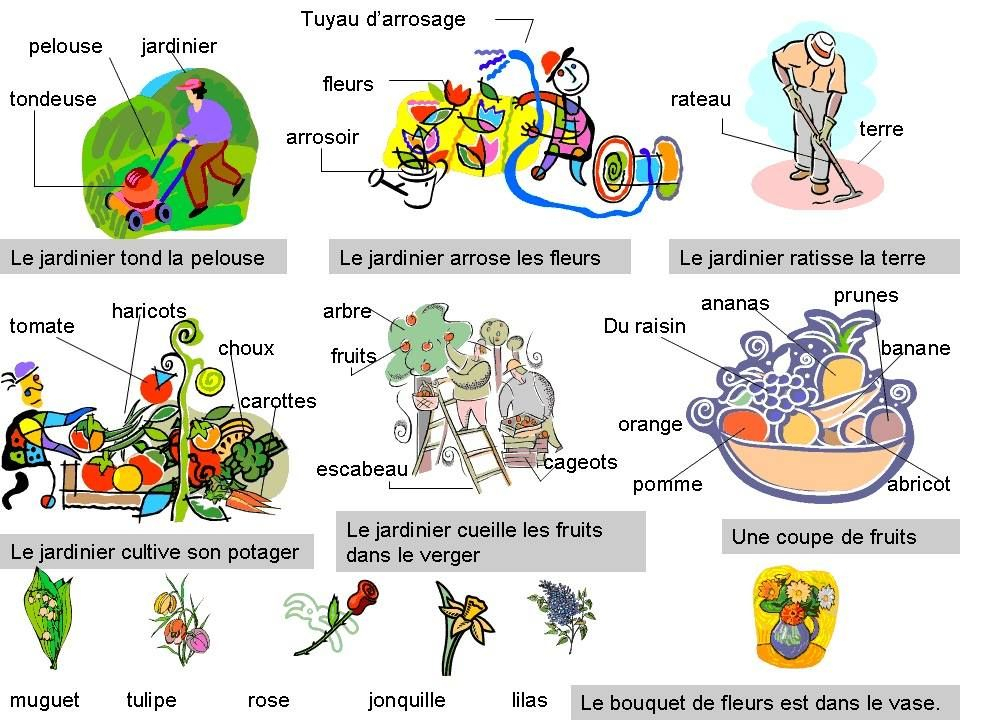 Le Vocabulaire Du Jardin | Tuyau Arrosage, Arrosage destiné Vocabulaire Du Printemps