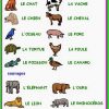 Les Animaux … | Animaux En Francais, Exercices De concernant Vocabulaire Anglais Animaux