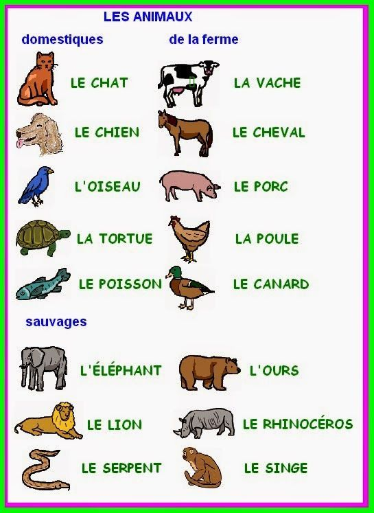 Les Animaux … | Animaux En Francais, Exercices De concernant Vocabulaire Anglais Animaux