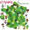 Les Départements Français | Passion Fle | Départements concernant Jeux Gratuits Departements Français