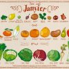 Les Fruits Et Légumes Du Mois De Janvier | Le Flexitarisme dedans Liste De Tous Les Fruits