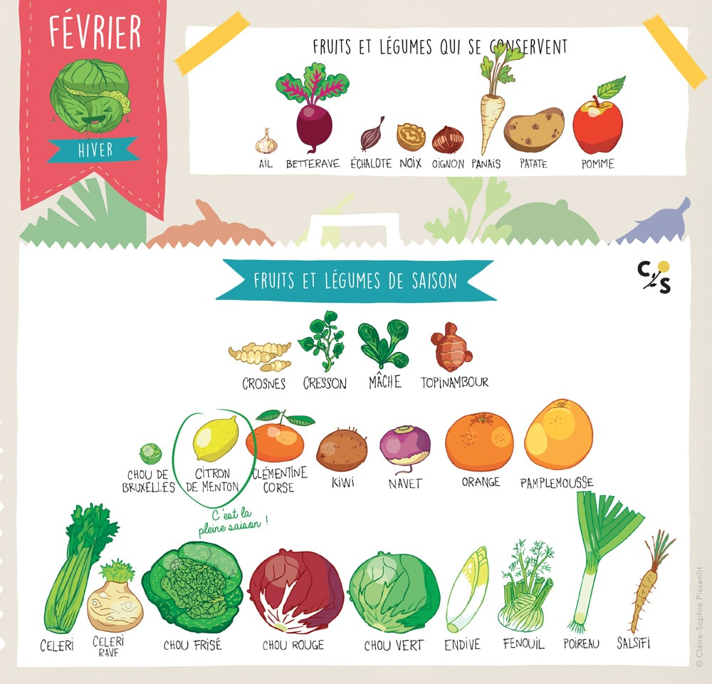 Les Fruits &amp; Légumes De Février. - Fourchette Et Nutrition intérieur Lexique Fruits Et Légumes