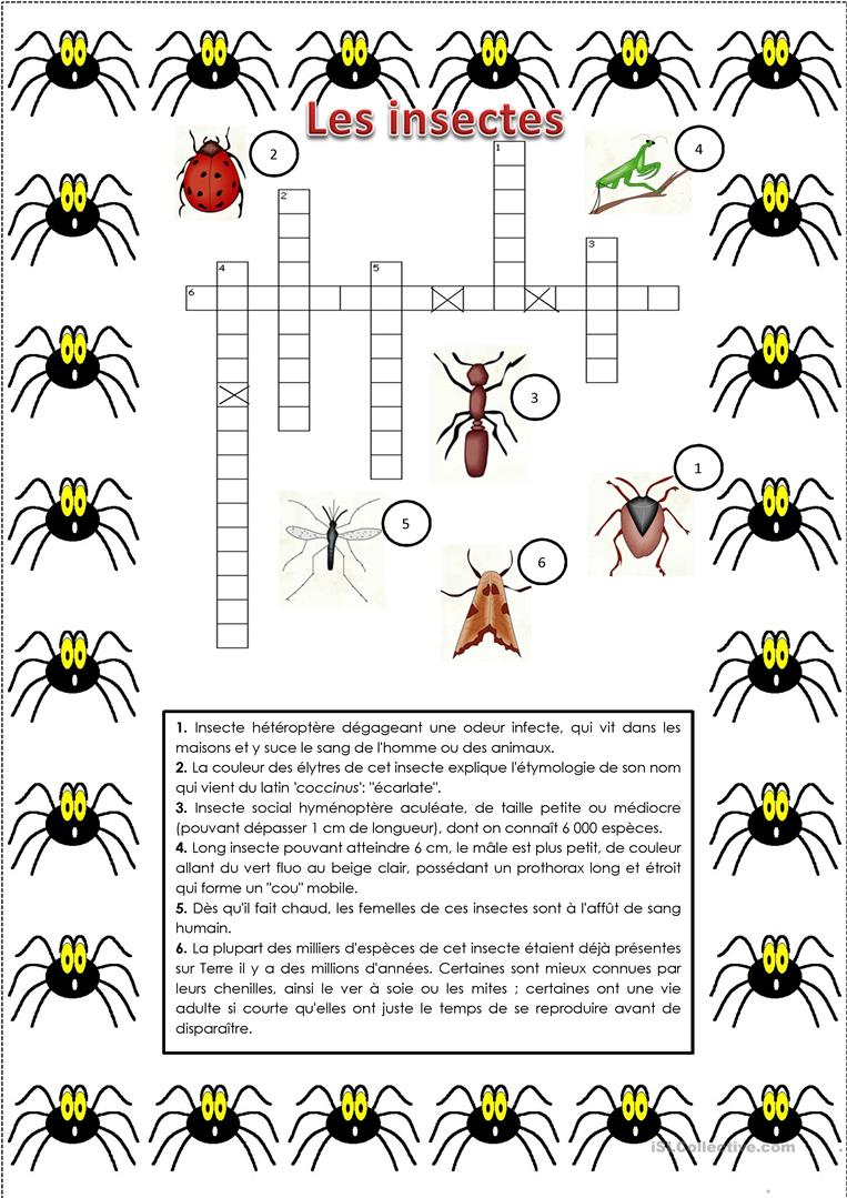 Les Insectes Fiche D&amp;#039;Exercices - Fiches Pédagogiques serapportantà Les Insectes Maternelle