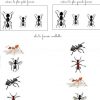 Les Insectes | Fourmis, Activité 3 Ans pour Les Insectes Maternelle