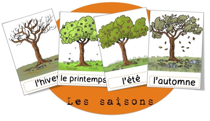 Les Saisons - Bout De Gomme | Découverte Du Monde, Saisons tout Apprendre Les Saisons En Maternelle