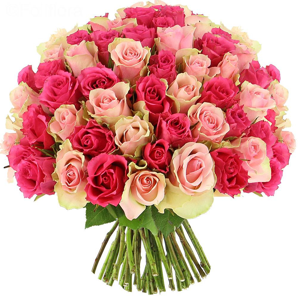 Livraison Roses Sweety - 25 Roses - Bouquet De Roses tout Bouquet De Fleurs Anniversaire Gratuit