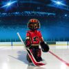 Lnh Gardien De But Des Calgary Flames - Club Jouet - Le à Jeux De Gardien De But