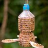 Maison À Oiseaux À Faire Soi-Même : Une Idée Géniale serapportantà Comment Faire Un Mangeoire Pour Oiseaux