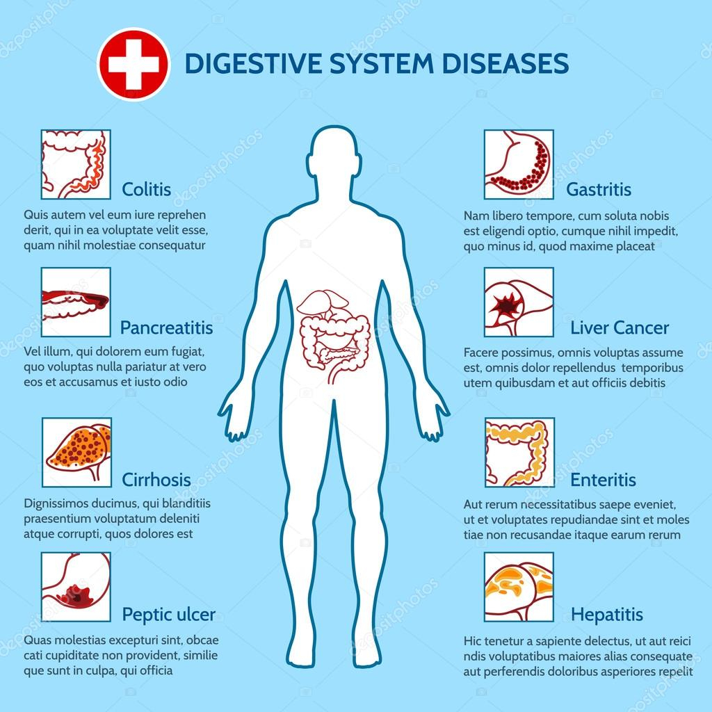 Maladies Du Système Digestif Humain Image Vectorielle Par pour Image De L Appareil Digestif