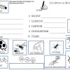 Maternelle: Mots Croisés Et Compagnie Avec Des Insectes pour Les Insectes Maternelle
